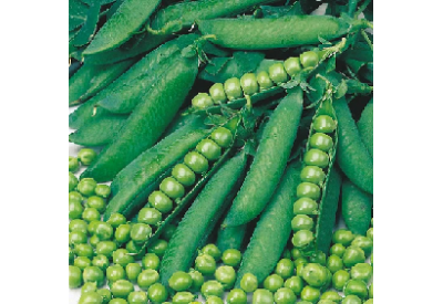Onward Maincrop Peas (1/2 pint)